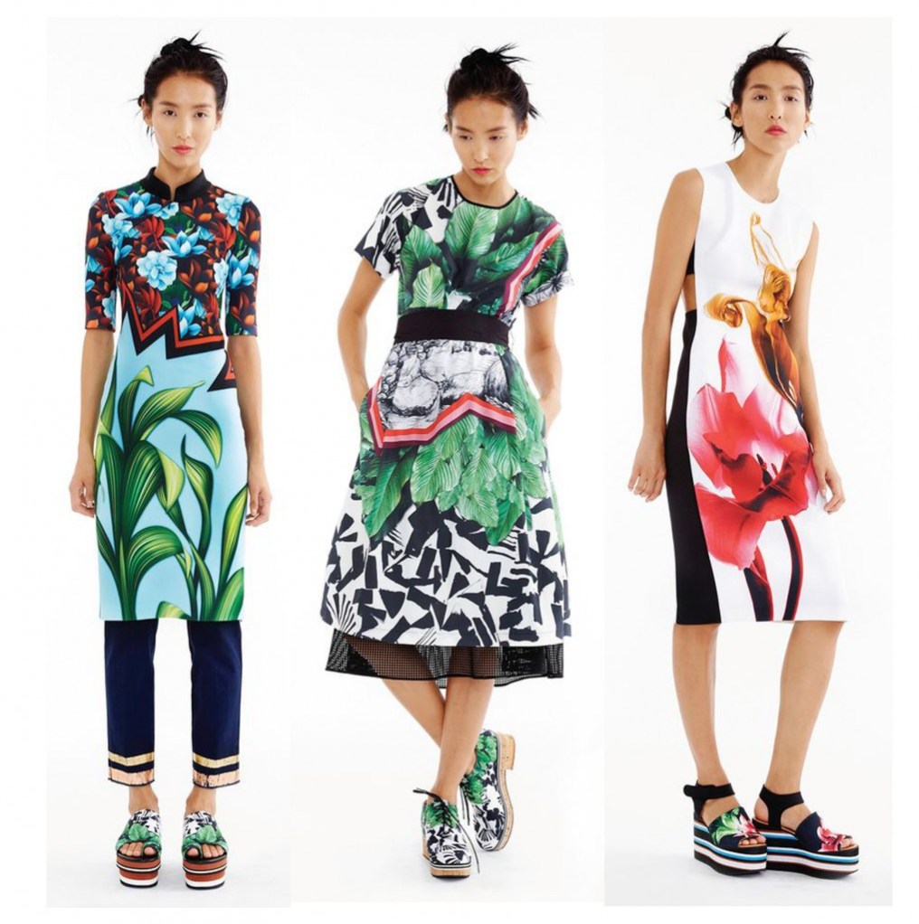 clover-canyon-1017x1024